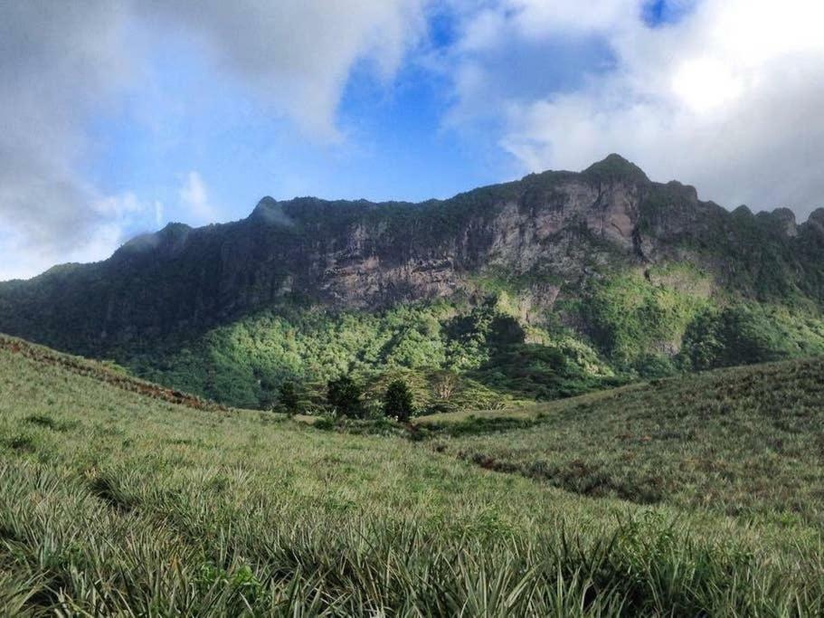 Fare Haurevaiti Moorea Паопао Экстерьер фото