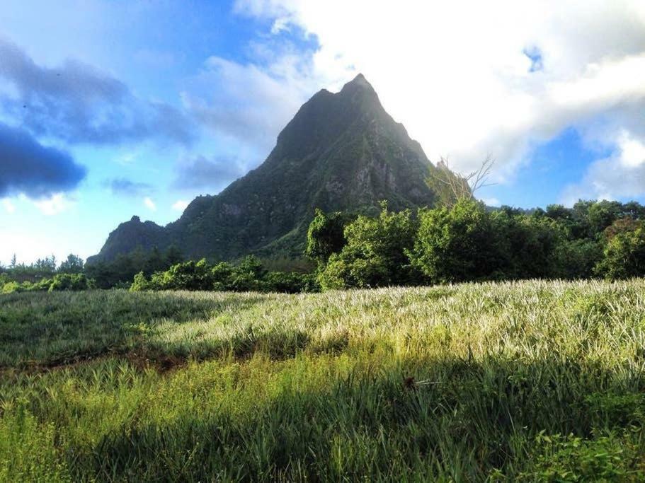 Fare Haurevaiti Moorea Паопао Экстерьер фото