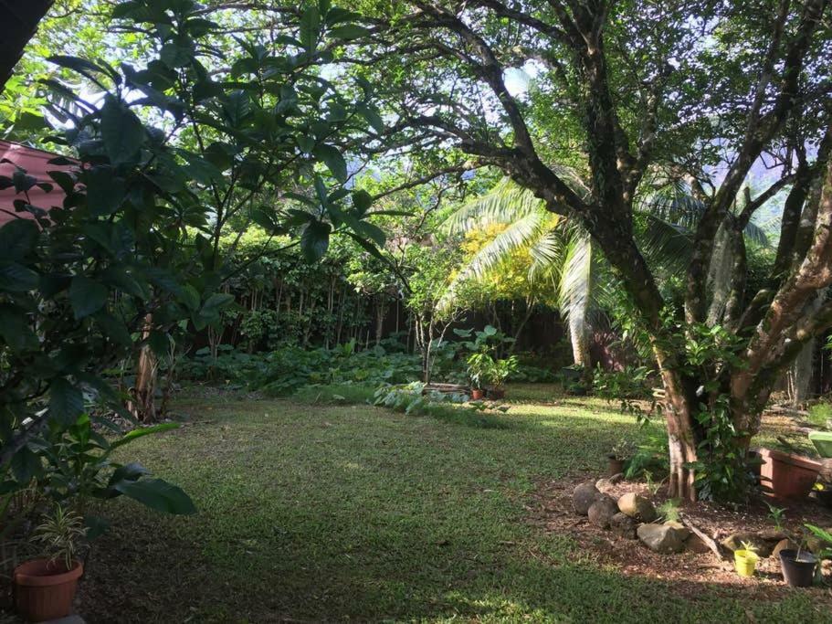 Fare Haurevaiti Moorea Паопао Экстерьер фото